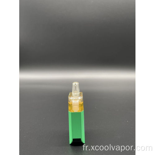 Atomiseur de Vape pré-enveloppé Pod rechargeable 5000 bouffées